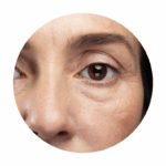 Programs for hydration, a fresher appearance, and supporting natural skin renewal